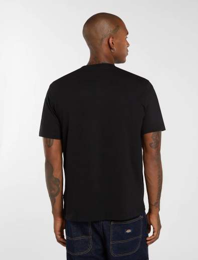 DICKIES MAPLETON SS TEE UOMO