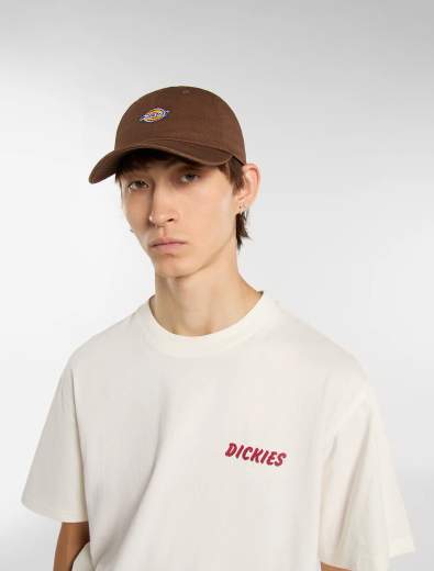 DICKIES HARDWICK CAP UNISEX ADULTO