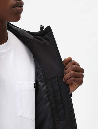 DICKIES DK0A4XG8