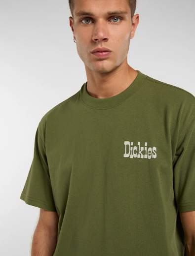 DICKIES DK0A88JV