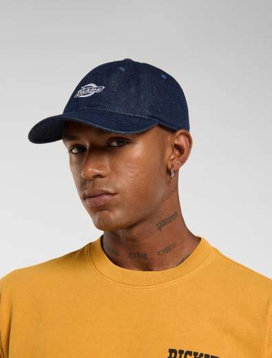 DICKIES DK0A867H