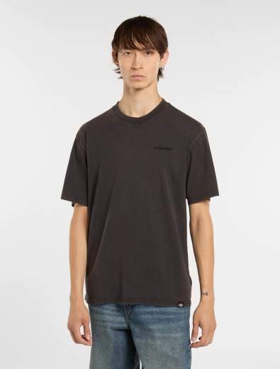 DICKIES PLENTYWOOD SS TEE UOMO