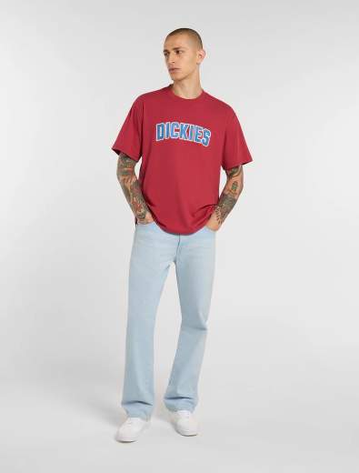 DICKIES AITKIN SS TEE UOMO