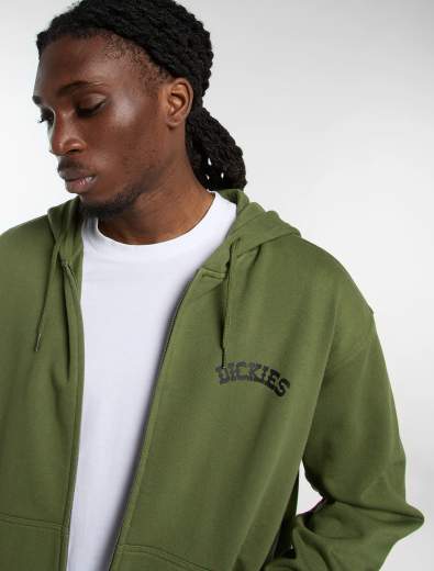 DICKIES DK0A885I