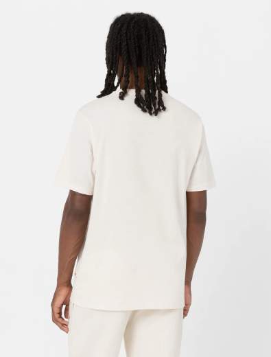 DICKIES MAPLETON SS TEE UOMO