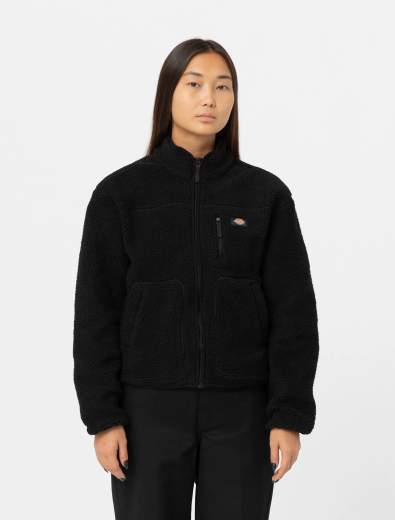 DICKIES DK0A4YGN