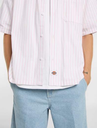 DICKIES DK0A88GU