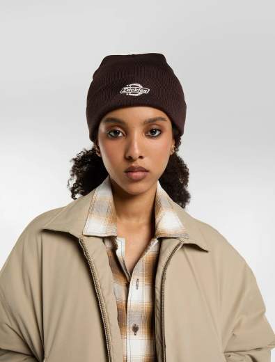 DICKIES DK0A87NG