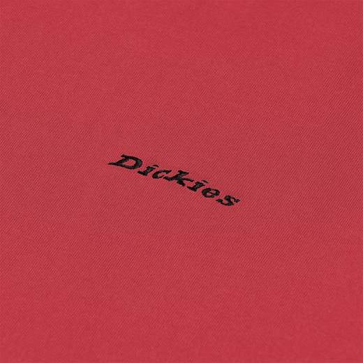 DICKIES LORETTO SS TEE UOMO