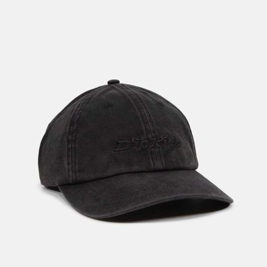 DICKIES DK0A887Z