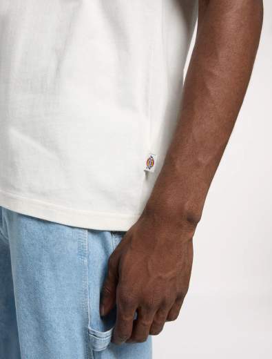 DICKIES DRY RIDGE SS TEE UOMO