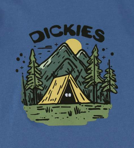 DICKIES KIDS DK0A88DA