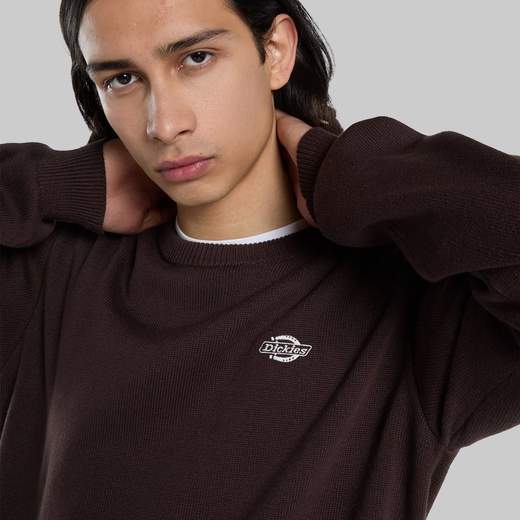 DICKIES DK0A87OP