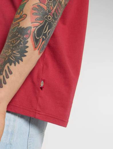 DICKIES AITKIN SS TEE UOMO
