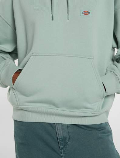 DICKIES DK0A8E35