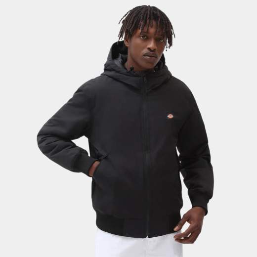 DICKIES DK0A4XG8