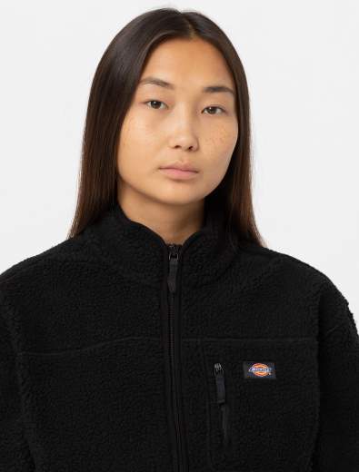 DICKIES DK0A4YGN