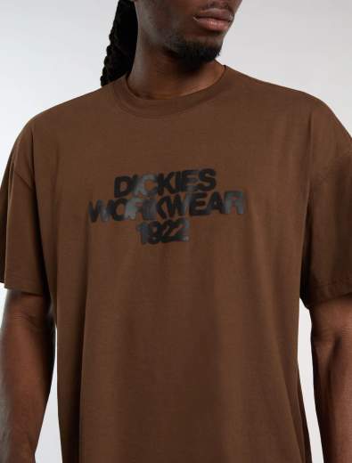 DICKIES DK0A8889