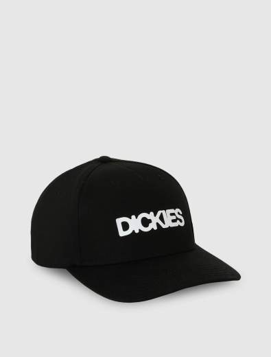 DICKIES DK0A88I9