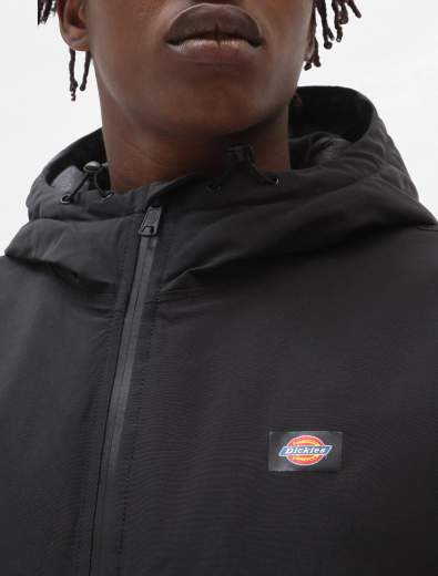 DICKIES DK0A4XG8