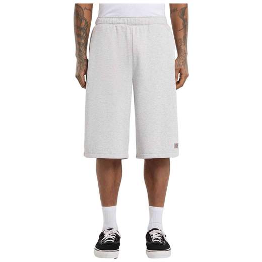 DICKIES DK0A885B