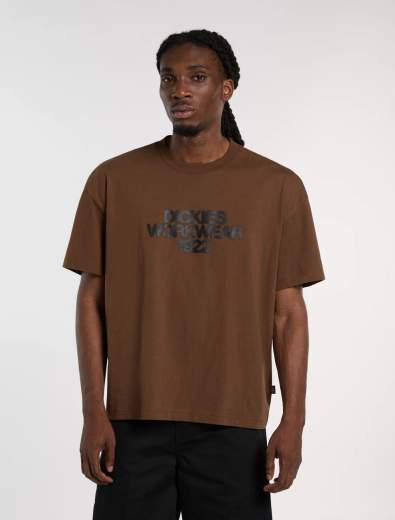 DICKIES DK0A8889