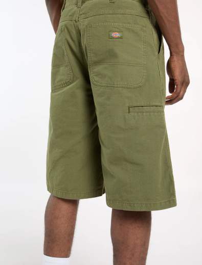 DICKIES DK0A888H