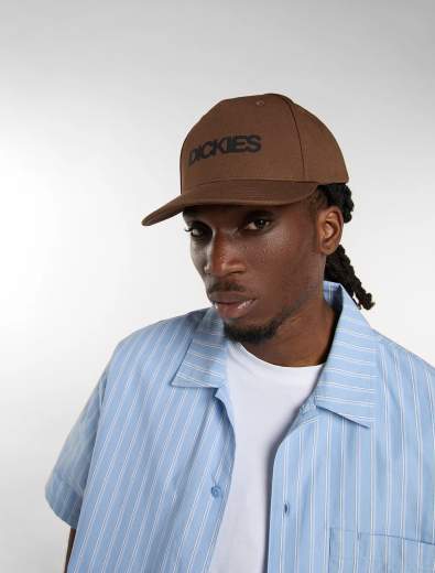 DICKIES DK0A88I9