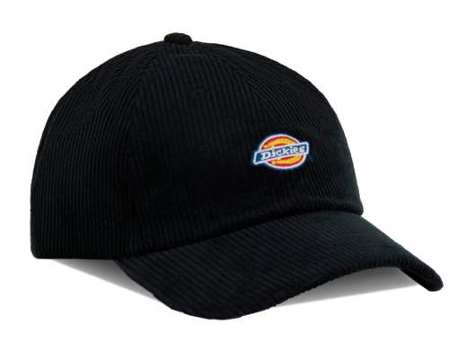 DICKIES DK0A4ZAY