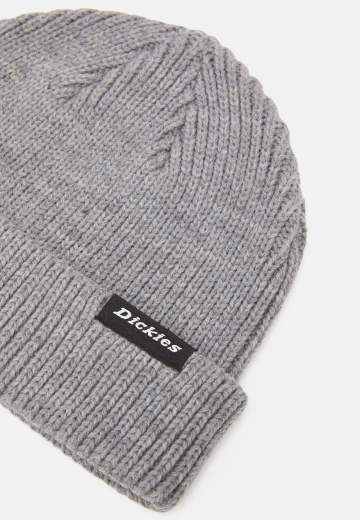 DICKIES DK0A4X7Y