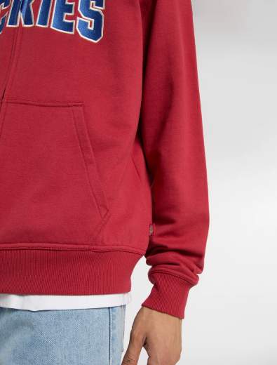 DICKIES AITKIN ZIP HOODIE UOMO
