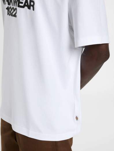 DICKIES DK0A8889