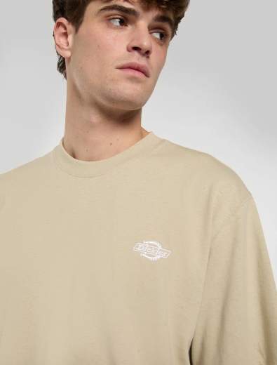 DICKIES SUMMERDALE SS TEE UOMO