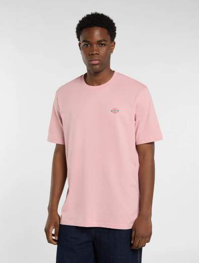 DICKIES MAPLETON SS TEE UOMO