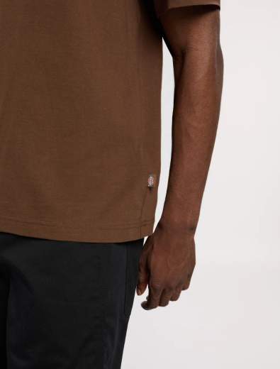 DICKIES DK0A8889