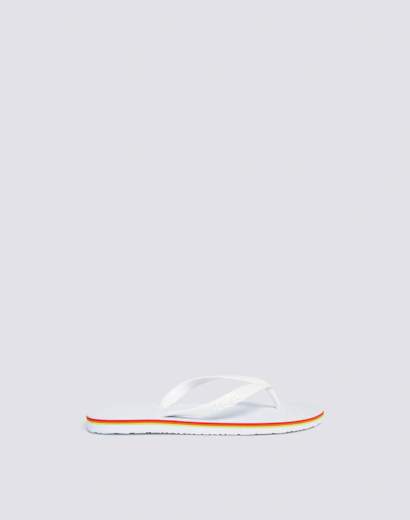 SUNDEK AM443ASEL000