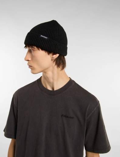 DICKIES DK0A4X7Y