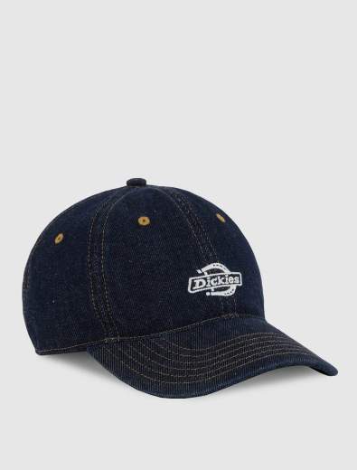 DICKIES DK0A867H