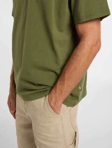 DICKIES DK0A88JV