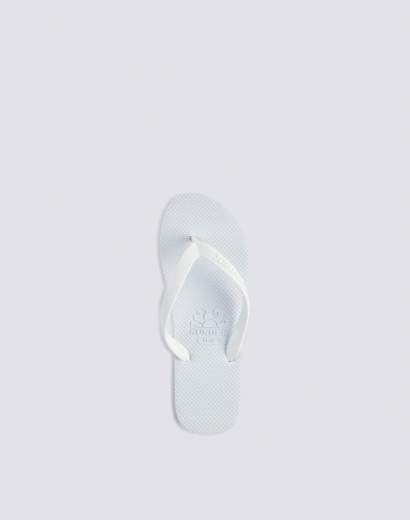SUNDEK AM443ASEL000