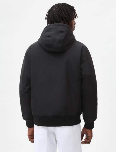 DICKIES DK0A4XG8