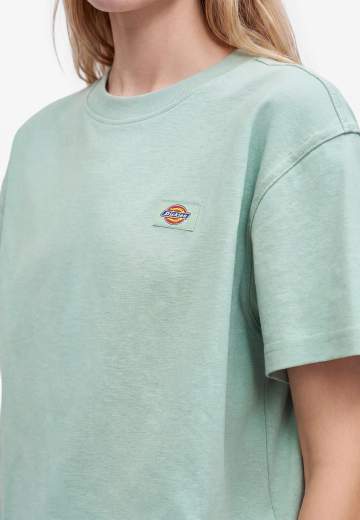 DICKIES DK0A4Y8L