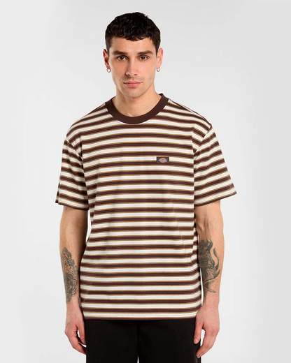 DICKIES DK0A8CD5
