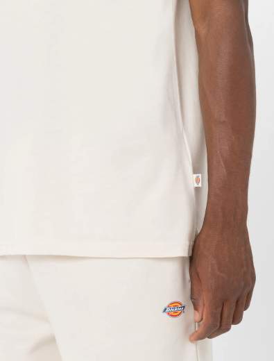 DICKIES MAPLETON SS TEE UOMO