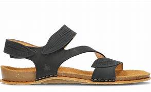 el naturalista n5810 Panglao