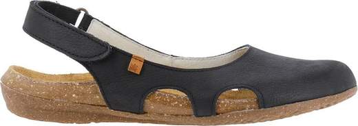 el naturalista n413 wakataua