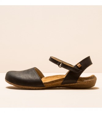 el naturalista n412 wakataua