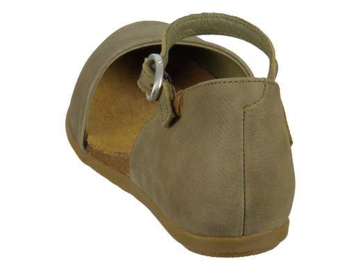 el naturalista ND54 Stella