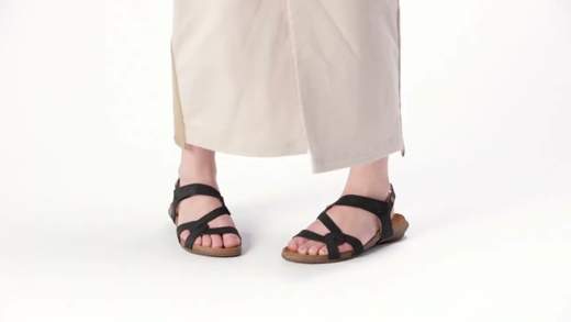 el naturalista N5079