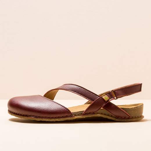 el naturalista n5813 Panglao